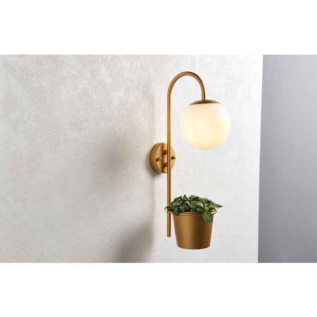 Naomi 1lt Wall Stain Gold