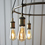 Hal 6lt Pendant Brass
