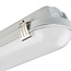 LED Anti-Corrosive batten 5FT 50W 4000K 7000LM