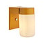 Maylor Outdoor Wll Lt Tangerine Elements