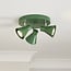 Brie 3 Lt Spotlight Green Elements