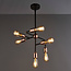 Dabora  6lt Pendant Multi Arm
