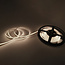 Dotless LED Tape 5M Cool White