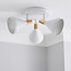 Winston 3lt Matt White Oak