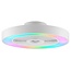 Brilliant Catania ceiling light 48.6cm with fan white, CCT