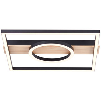 Brilliant Maureen LED  DE  24W  2700lm  3000K Wall & Ceiling Lights