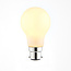 B22 OPAL GLS 1lt 2700K Dimmable