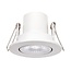 Tilt Downlight Brushed Nickel IP65 fire rated downlight