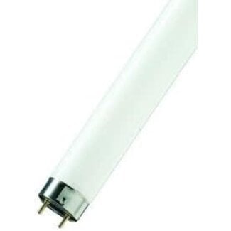 Poole Lighting Osram T8 Basic Energy Saver 36W 535 White