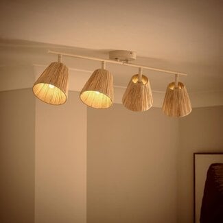 Demie 4 Light Spotlight Bar