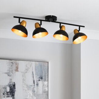 Haus 4lt Spotlight Black