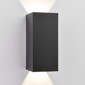 Adjustable outdoor up and down wall light black