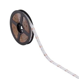 OrionPRO RGBW LED IP20 4000K 14W/M 5M 70W