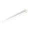 Rular 1lt 5ft 65.6W Cool White