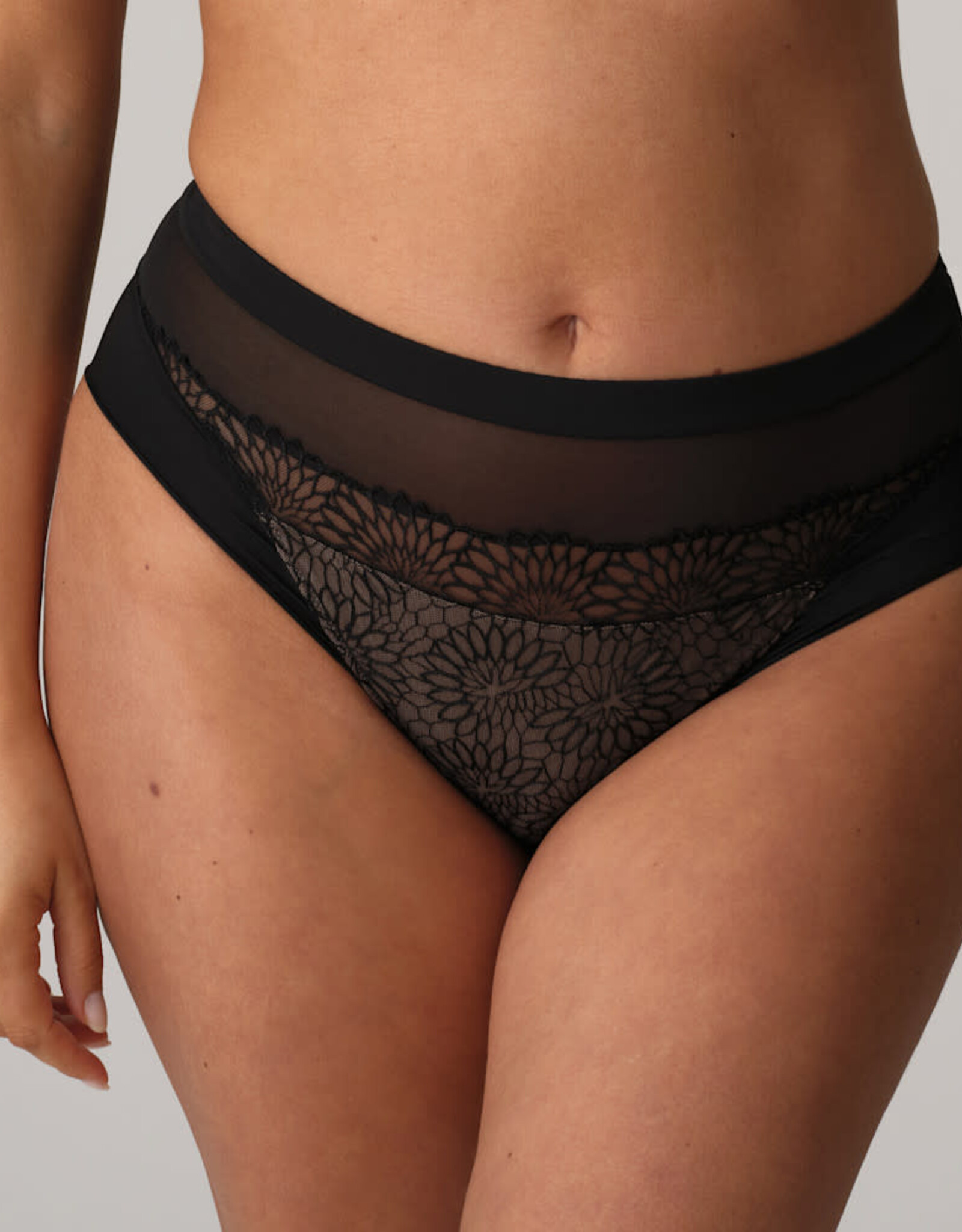 Prima Donna Sophora 0563181