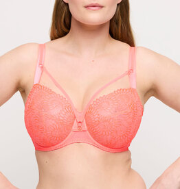 Prima Donna Sophora 0163180