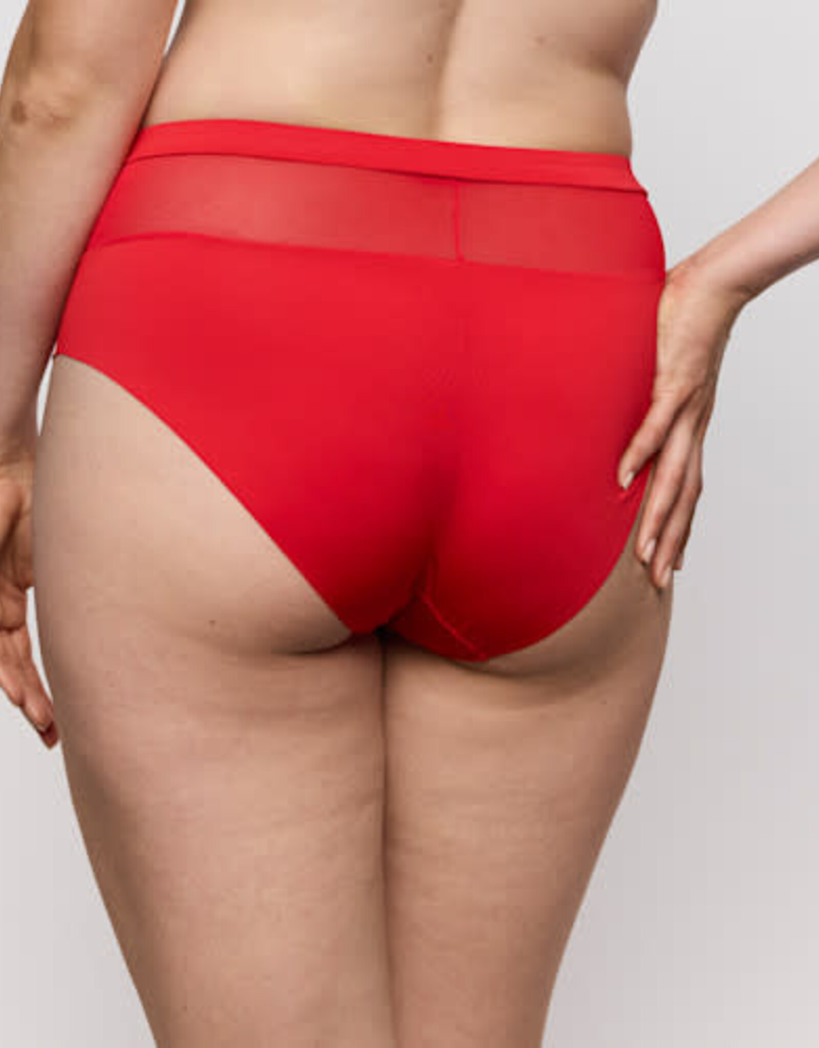 Prima Donna Sophora 0563181