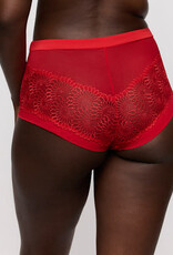 Prima Donna Sophora 0563182