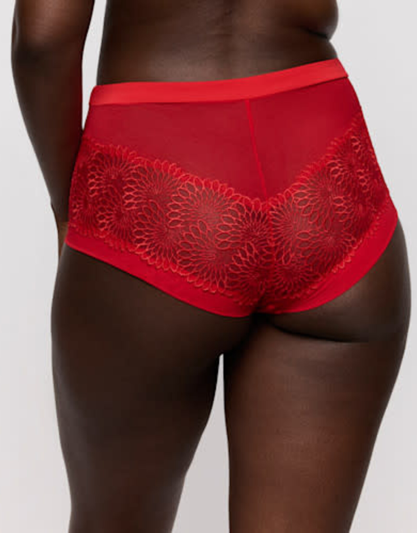 Prima Donna Sophora 0563182