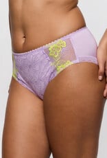 Prima Donna Ixia 0563601