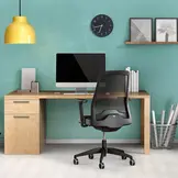 EVERYis1 Bureaustoel NPR armleggers