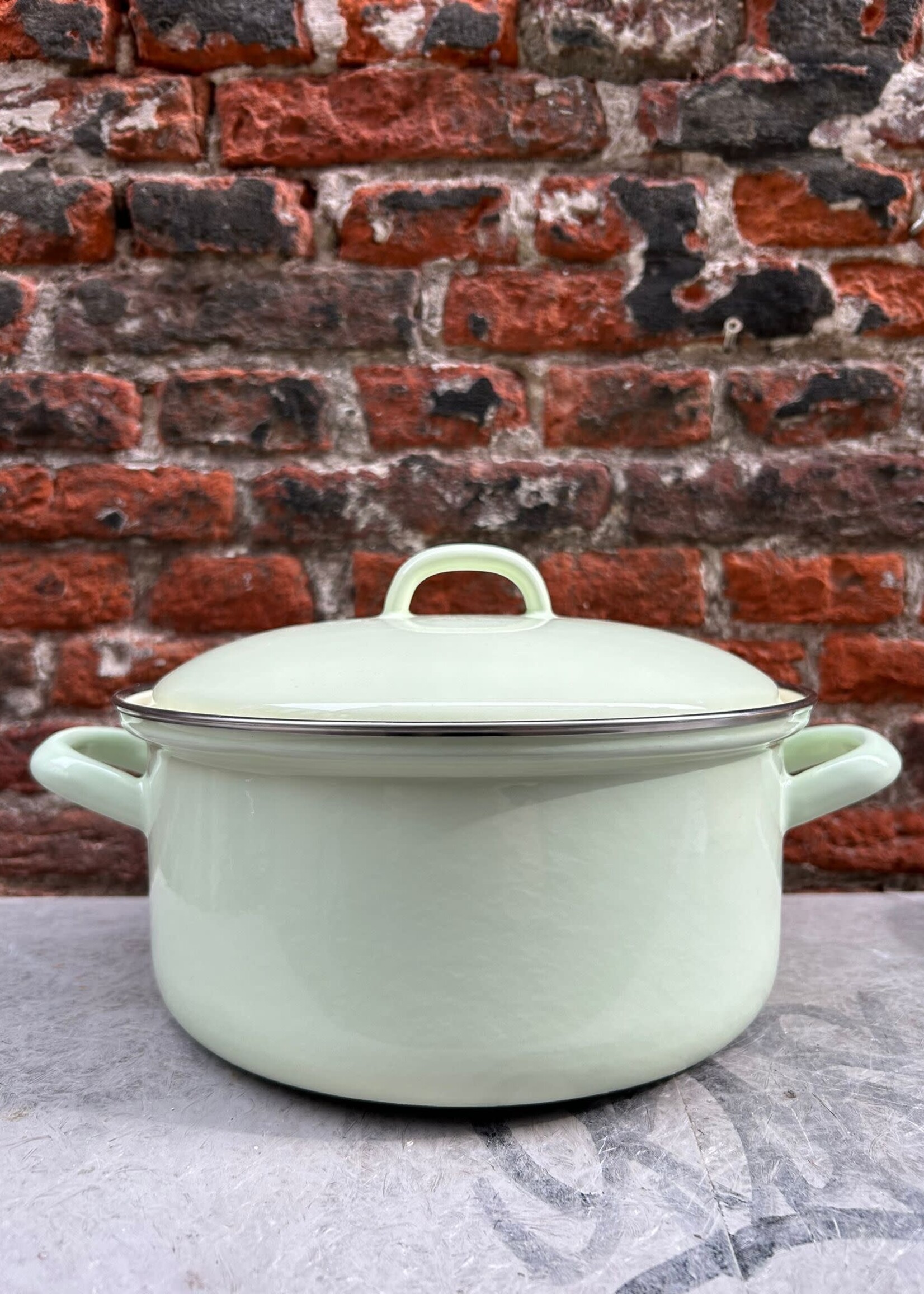Riess Riess Pan with Chrome Edge 22 cm/3 l 'Light Green'