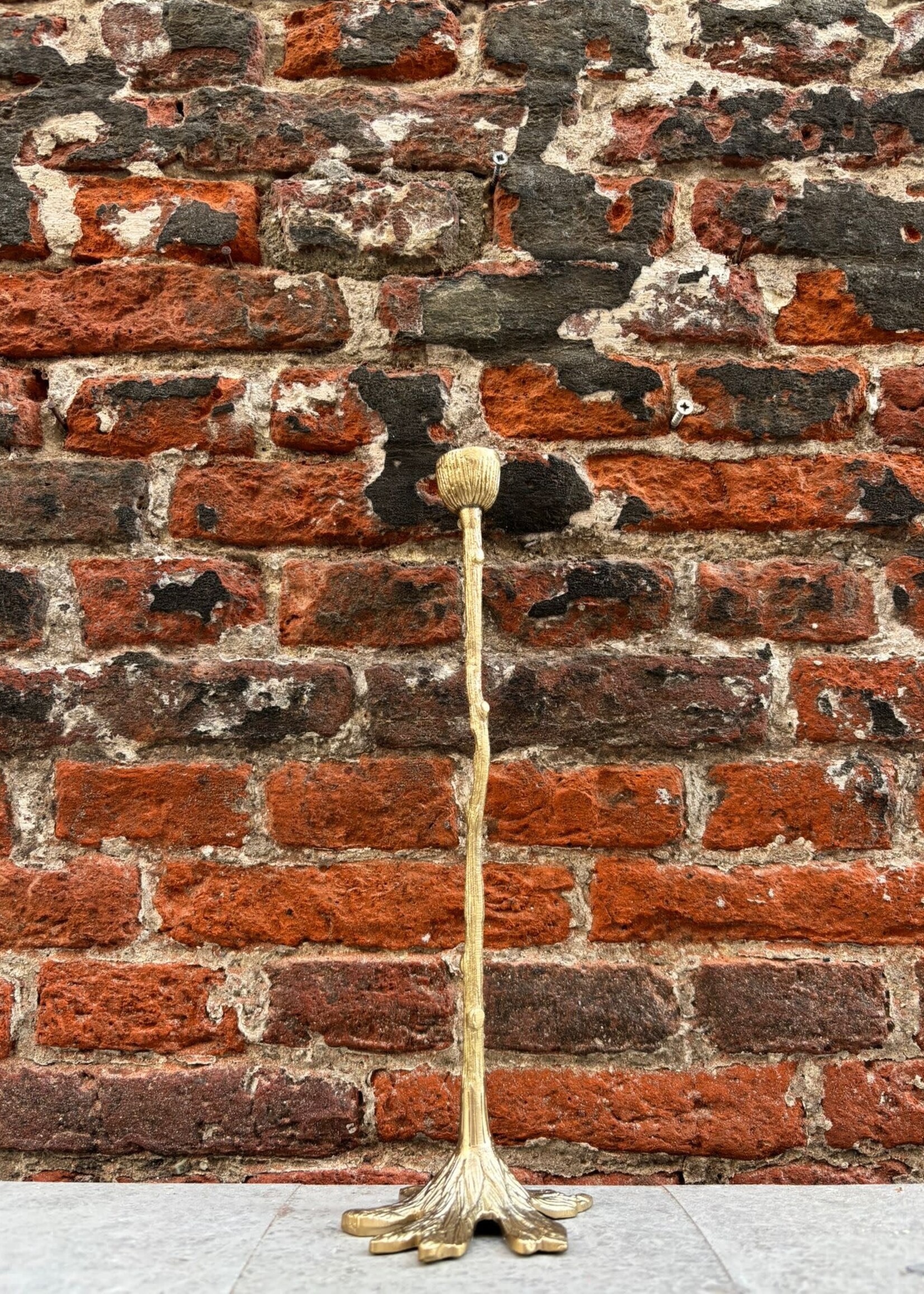 Doing Goods Doing Goods Misty Tree Candle Holder Long
