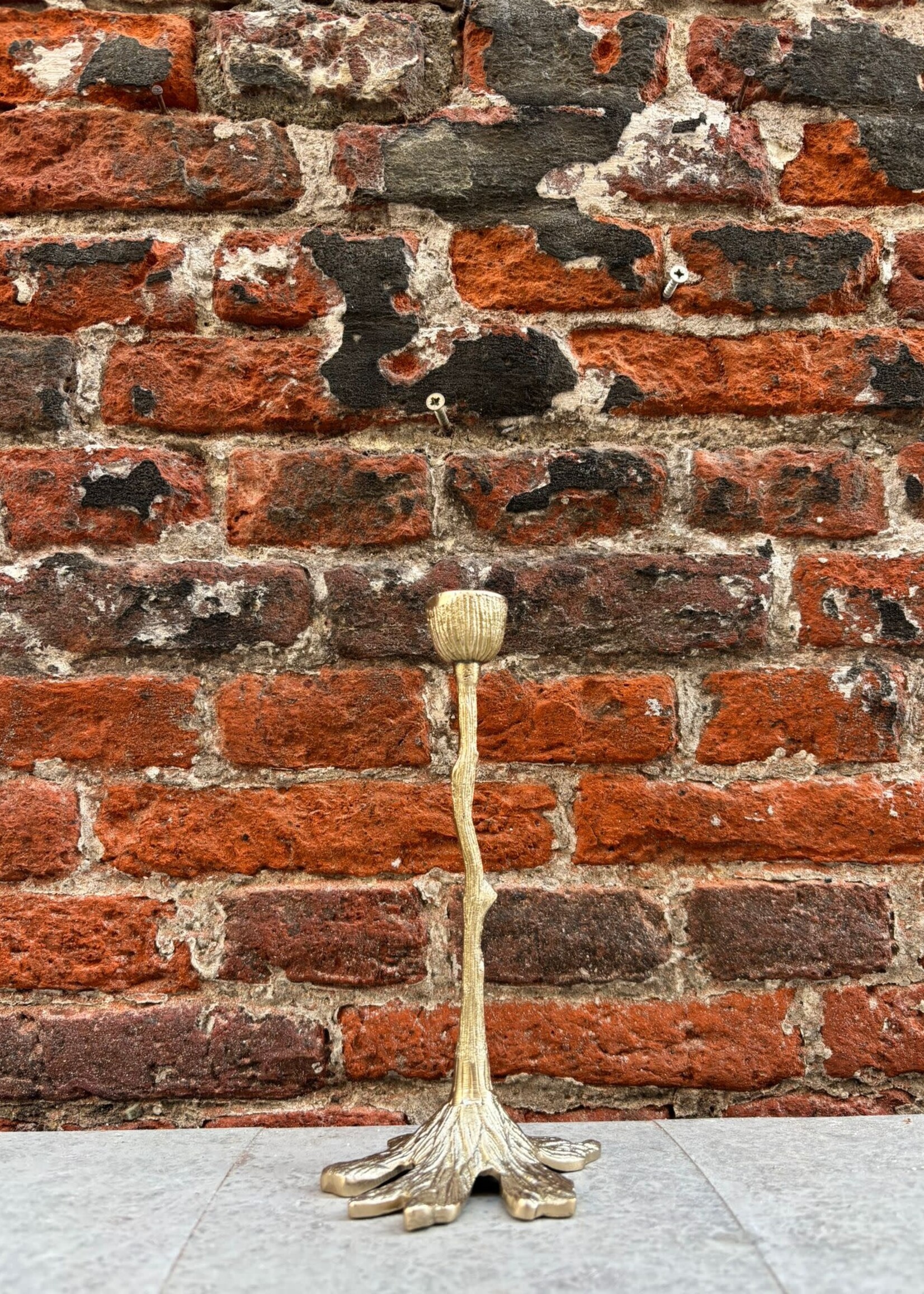 Doing Goods Doing Goods Misty Tree Candle Holder Short