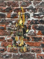 De Weldaad De Weldaad Green Berry Bunch