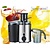Royalty line Juice extractor van het merk Royalty line - zwart