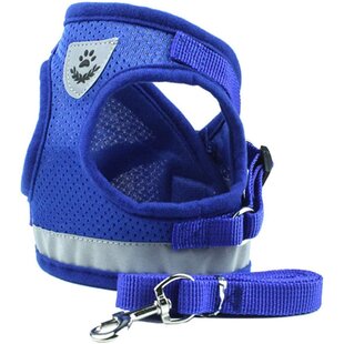 IGOODS -  - Leash set - knaagdieren - Blauw  - S