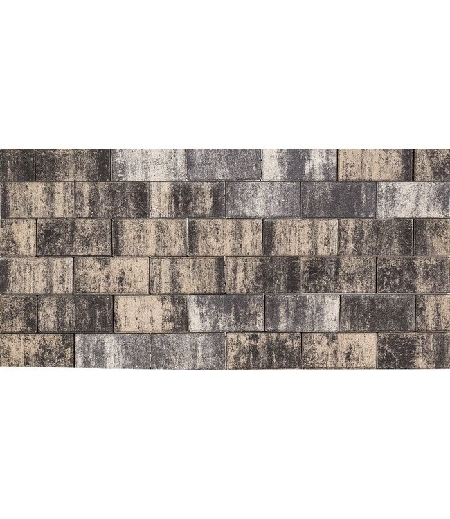 Beschichteter Betonklinker Tremico Rechteckpflaster Zeeuws Bunt 21x10,5x7 cm