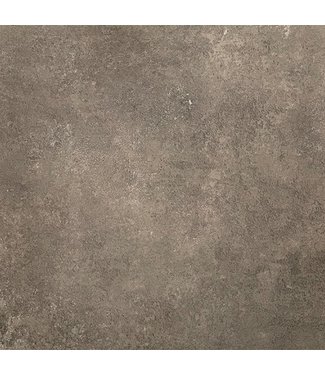 Cittadella Taupe 60x60x3