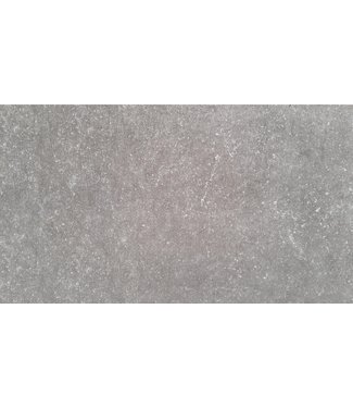 Solido Ceramica Bluestone Grey 90x90x3