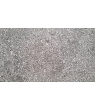 Stone Reimst 60x60x3 cm