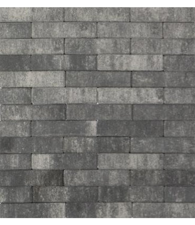 Beschichteter Betonklinker Tremico Waalformat Zeeuws Bunt 20x5x6 cm