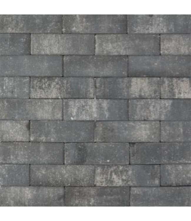 Beschichteter Betonklinker Tremico Dickformat Zeeuws Bunt 20x6,7x6 cm