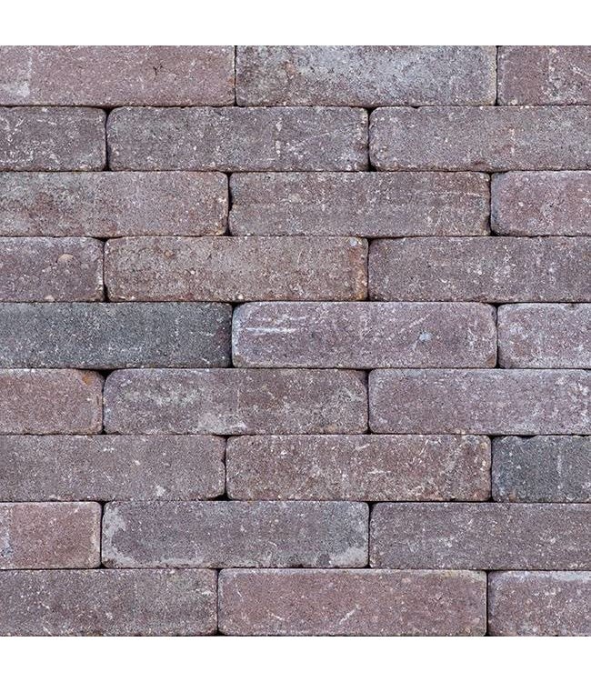 Altstadtpflaster Antik Rot Nuanciert 20x5x7 cm