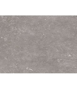 Norwegian Stone Grey 60x60x4 cm