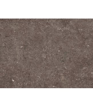 Norwegian Stone Dark 60x60x4 cm