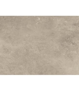 Pisa Beige 40x80x2 cm