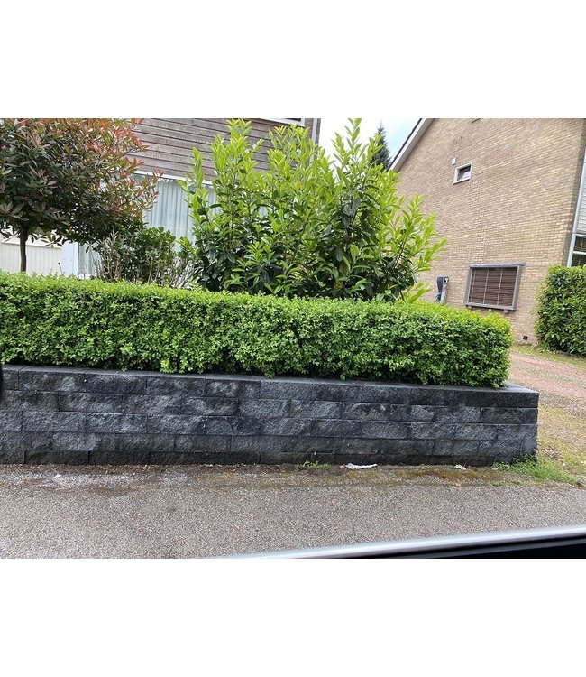 Mauerstein Wallblock Splitt Anthrazit 60x15x12 cm