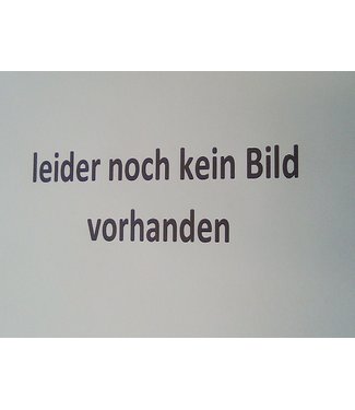 halbes Rechteckpflaster Grau mit Fase 10,5x10,5x8 cm