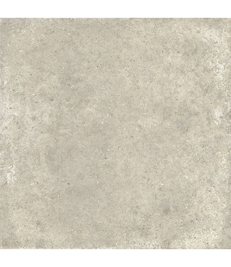 Brainport Shell 60x60x4 cm