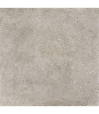 Portland Taupe 60x60x4 cm