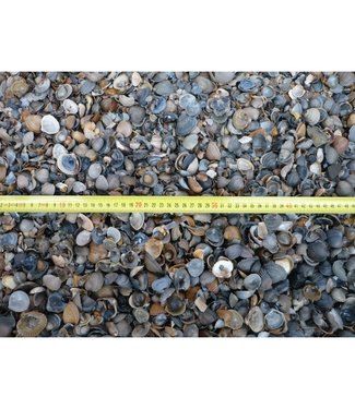 Muscheln 8-16mm 750kg/1m3