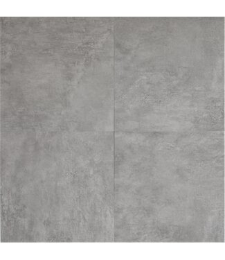 Newport Grigio 60x60x2
