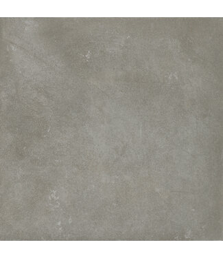Danzig Taupe 60x60x2