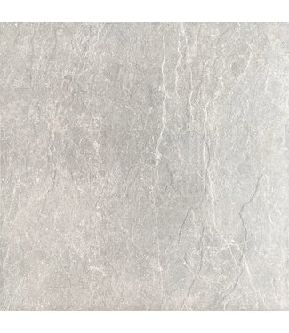 Botticino Grey 60x60x2cm