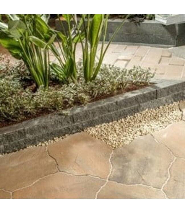 GeoArdesia Alivo Riviera